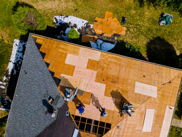 Best Roof Gutter Cleaning  in Osprey, FL